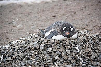 《漫威暗夜之子》今日于 Xbox One 和 PlayStation 4 平台推出